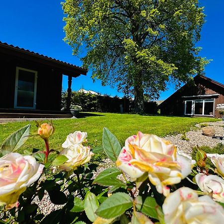 Aguona Royal Oasis Villa Molėtai Exteriör bild